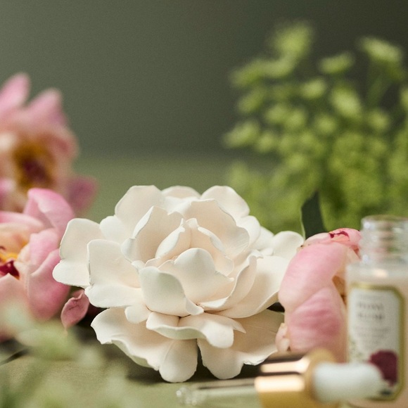 Apothecary 18 Ceramic Peony Flower Fragrance Diffuser